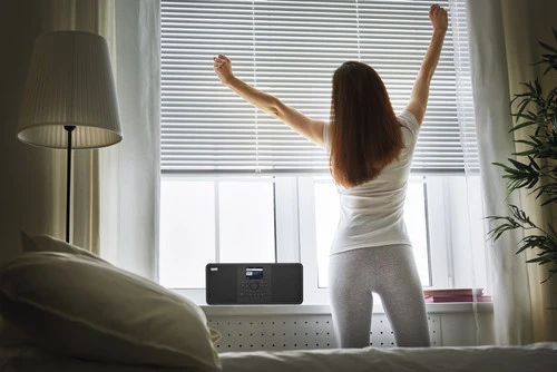 Imperial DABMAN I205CD Bruin 4 Imperial DABMAN I205CD Bruin - Afbeelding 4