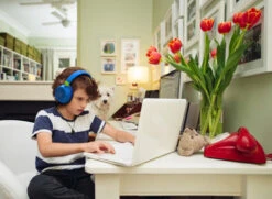 JBL JR460NC Blauw -Aelta Winkel 1658411 1