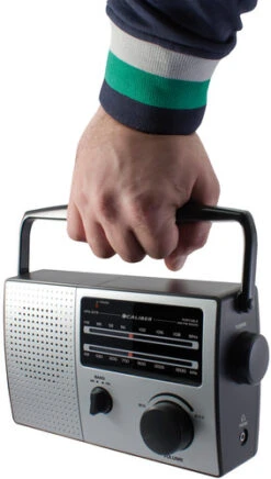 Caliber HPG-317R Zilver -Aelta Winkel 1898583